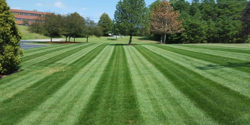 Lawn Care, Lawn Mowing, Grass Cutting, Commercial Lawn Maintenance, Lawn Care Business
