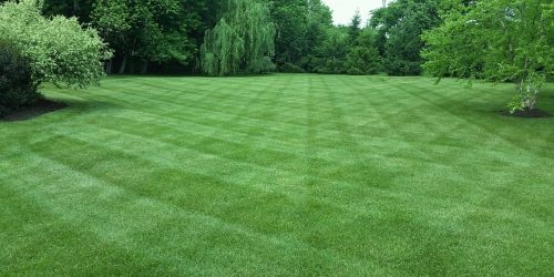 Lawn Care, Lawn Mowing, Grass Cutting, Commercial Lawn Maintenance, Lawn Care Business